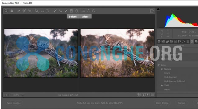 Adobe Photoshop là gì? Ứng Dụng và cách kiếm tiền từ PTS