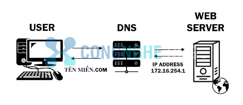 Domain Name System là gì? Định nghĩa và chức năng của DNS