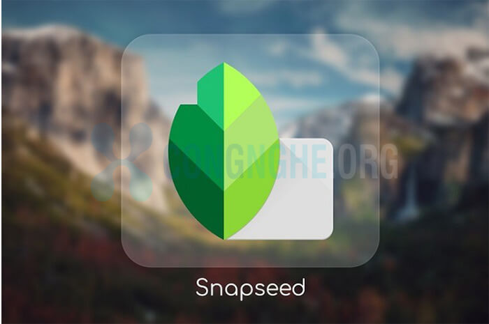 Cách làm nét ảnh bằng Snapseed vô cùng nhanh chóng