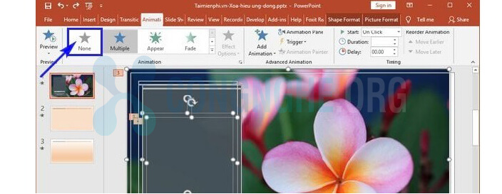 Cách tắt hiệu ứng tự chuyển Slide trên PowerPoint đơn giản
